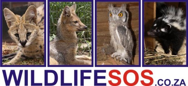 wildlifesos